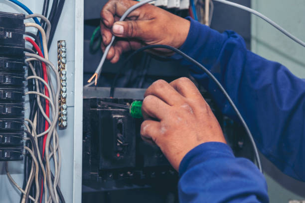 Best Ceiling Fan Installation Electrician  in Dunbar, SC